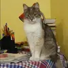 Отзыв от Алевтина Левина